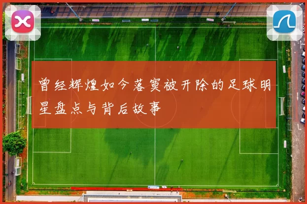 曾经辉煌如今落寞被开除的足球明星盘点与背后故事