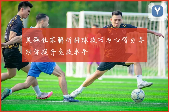 吴强独家解析排球技巧与心得分享助你提升竞技水平