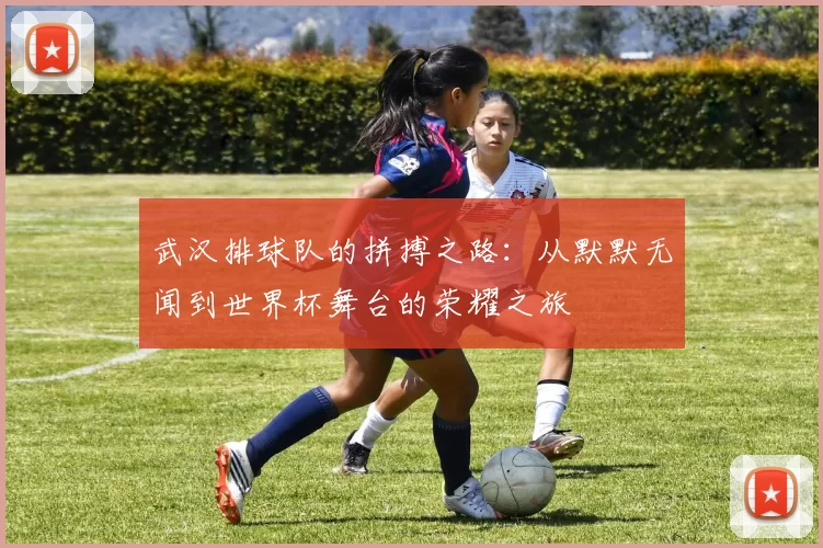 武汉排球队的拼搏之路：从默默无闻到世界杯舞台的荣耀之旅