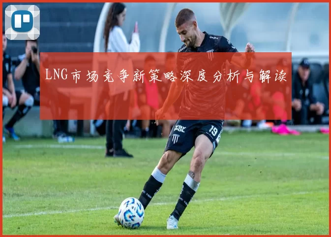 LNG市场竞争新策略深度分析与解读