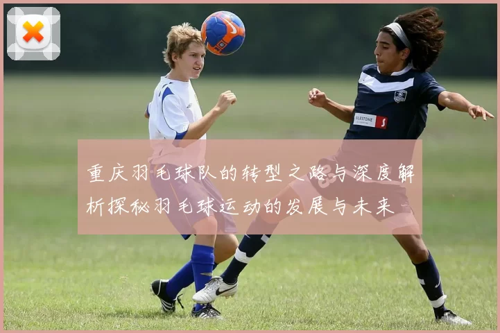 重庆羽毛球队的转型之路与深度解析探秘羽毛球运动的发展与未来