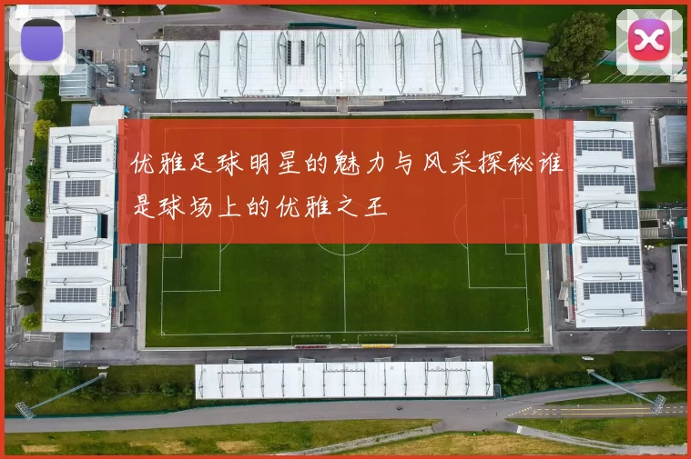 优雅足球明星的魅力与风采探秘谁是球场上的优雅之王