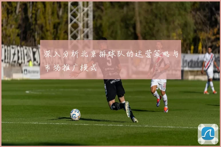 深入分析北京排球队的运营策略与市场推广模式