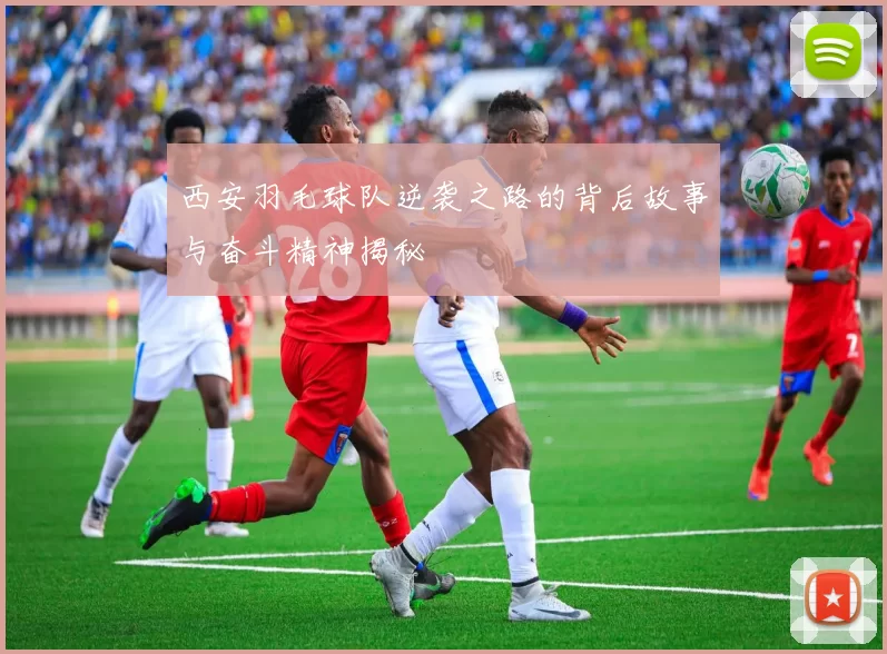 西安羽毛球队逆袭之路的背后故事与奋斗精神揭秘