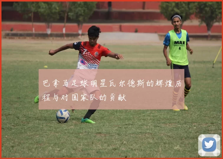巴拿马足球明星瓦尔德斯的辉煌历程与对国家队的贡献