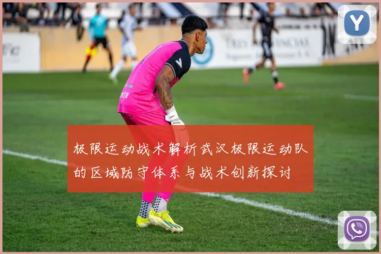极限运动战术解析武汉极限运动队的区域防守体系与战术创新探讨