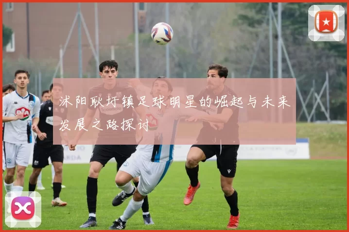 沭阳耿圩镇足球明星的崛起与未来发展之路探讨