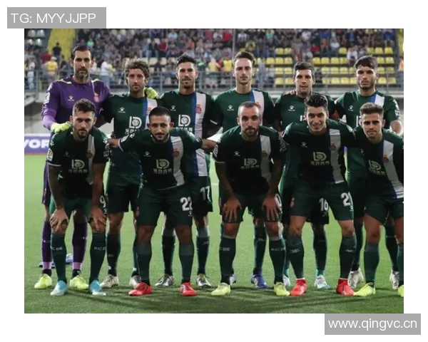 意甲球队主要赞助商列表及赞助金额排名